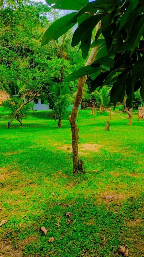 Parati Casa المظهر الخارجي الصورة