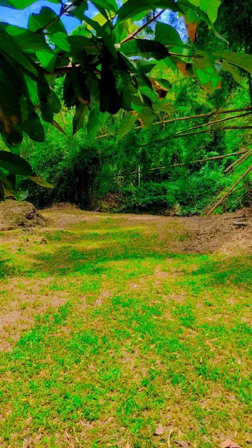 Parati Casa المظهر الخارجي الصورة
