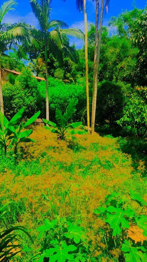 Parati Casa المظهر الخارجي الصورة